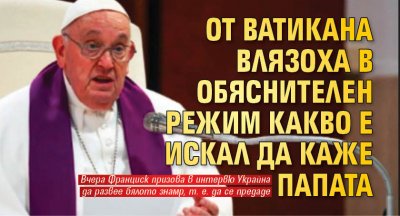 От Ватикана влязоха в обяснителен режим какво е искал да каже папата