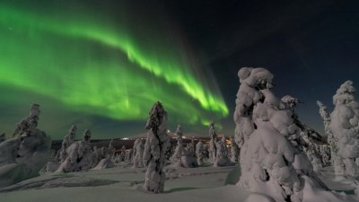 За седма поредна година Финландия е най щастливата страна в света