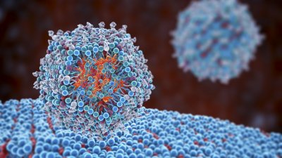 Изследователи са елиминирали ХИВ от клетки в лабораторни условия което
