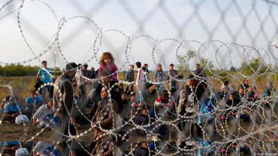 Над 20 нелегални мигранти бяха открити на румънско-унгарската граница