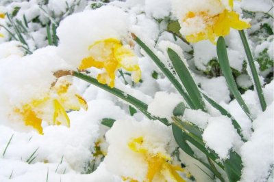 Синоптик: Снегът и зимата се връщат през април