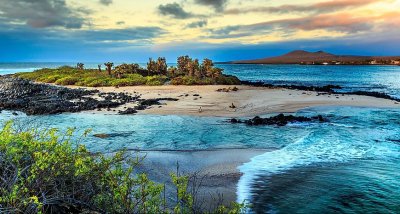Островите Галапагос удвояват таксата за влизане на туристи От август