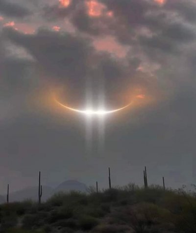 Нещо извънземно цъфна над Аризона