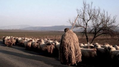 17 г. затвор за жестоко убийство на овчар в село Горен чифлик