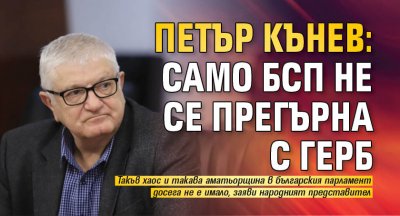 Петър Кънев: Само БСП не се прегърна с ГЕРБ
