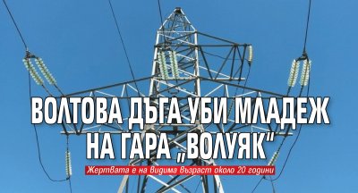 Волтова дъга уби младеж на гара „Волуяк“