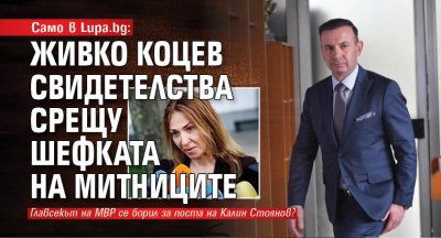 Само в Lupa.bg: Живко Коцев свидетелства срещу шефката на Митниците