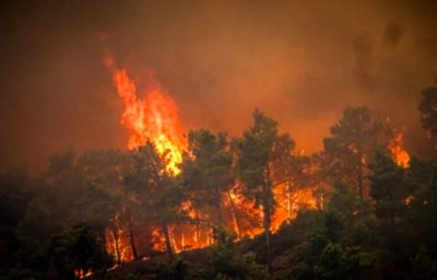 Пожарите бушуващи в Централна Гърция и на остров Крит са
