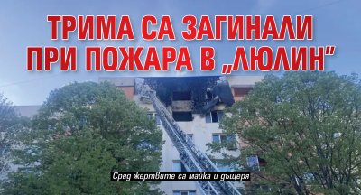 Трима са загинали при пожара в „Люлин”