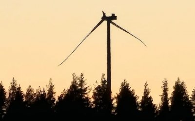 72 метрова перка падна от вятърна турбина в Норвегия съобщи енергийната