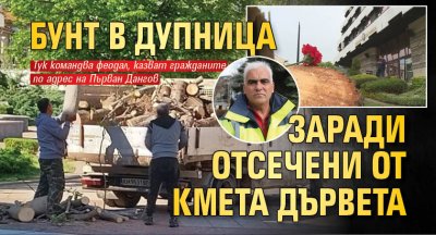 Бунт в Дупница заради отсечени от кмета дървета 