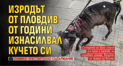 Изродът от Пловдив от години изнасилвал кучето си (Снимки Чувствително съдържание)