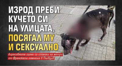 Изрод преби кучето си на улицата, посягал му и сексуално