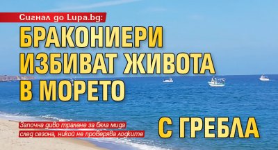 Сигнал до Lupa.bg: Бракониери избиват живота в морето с гребла 