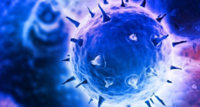 Вирусът на морбили атакува имунната система