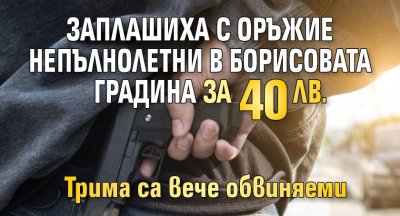 Заплашиха с оръжие непълнолетни в Борисовата градина за 40 лв.