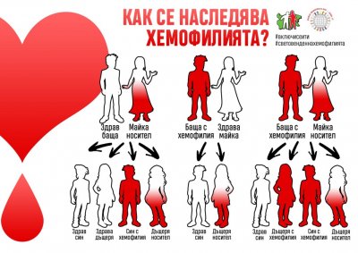 Българската асоциация на хемофилията организира информационна кампания в подкрепа на хората