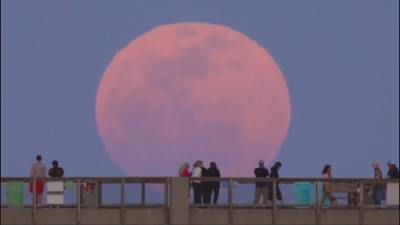 Априлското пълнолуние известно като Розова луна предизвика внушително небесно шоу