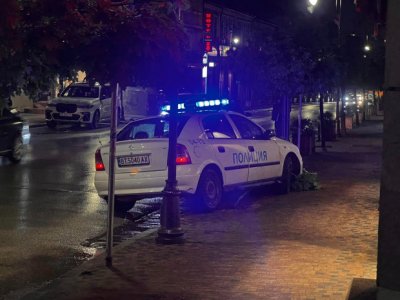 Полицейска патрулка отнесе дърво във Велико Търново Инцидентът се е