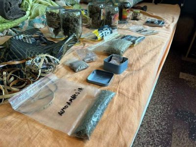 Криминалисти от Разград разкриха съоръжение за отглеждане на растения от
