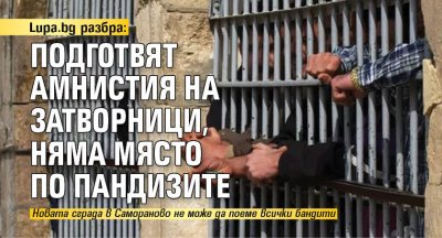 Lupa.bg разбра: Подготвят амнистия на затворници, няма място по пандизите