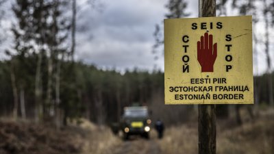 Министерството на вътрешните работи на Естония не планира принудително репатриране на украински