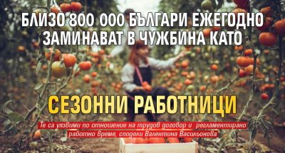 Близо 800 000 българи ежегодно заминават в чужбина като сезонни работници
