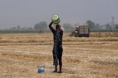 Високите температури в Индия взеха жертви