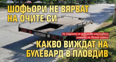 Шофьори не вярват на очите си какво виждат на булевард в Пловдив