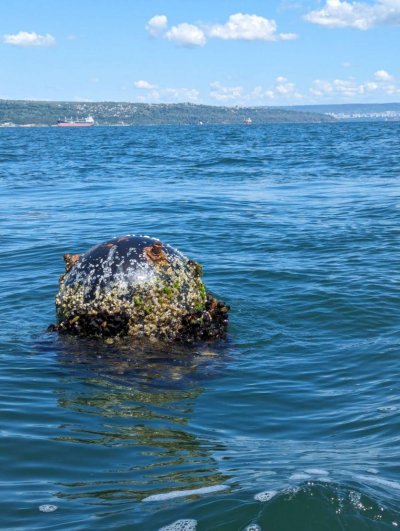 Пак мина в Черно море, обезвредиха я