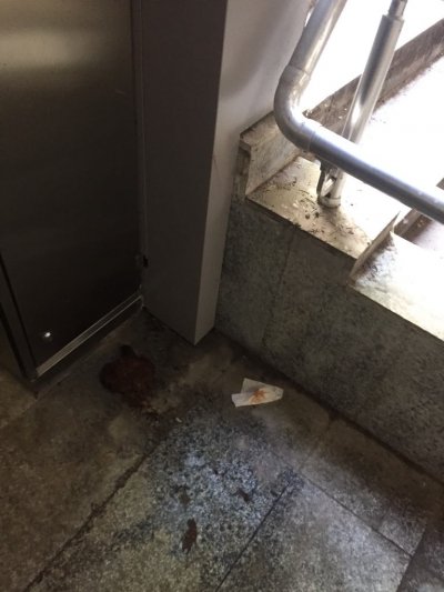 ОСЕРИ СОФИЯ: Кой се изкендза в асансьора на "Иван Асен"? (СНИМКИ)