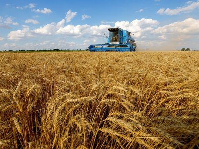 Украйна изнася над 42 млн. тона зърнени култури