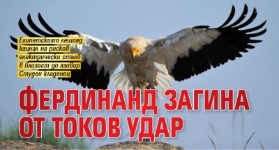 Фердинанд загина от токов удар