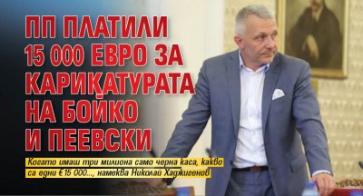 ПП платили 15 000 евро за карикатурата на Бойко и Пеевски