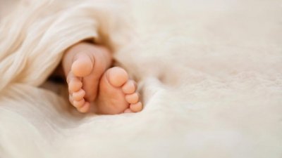 51 са вече децата  родени след инвитро процедури с донорски яйцеклетки