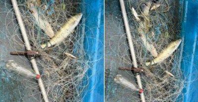 Изпълнителната агенция по рибарство и аквакултури в Бургас установи незаконен