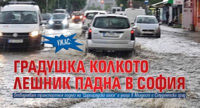 Силният дъжд и градушка в София доведоха до закъснения на