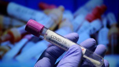 Няма нови случаи на коронавирус