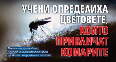 Учени определиха цветовете, които привличат комарите