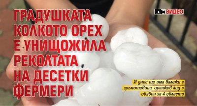 Над 15 земеделски производители са пострадали след вчерашната градушка в