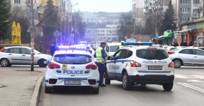 Умрял кон на средата на булевард "Европа" шокира шофьорите 