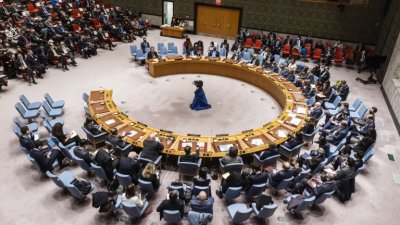 Общото събрание на ООН избра в четвъртък Гърция Дания Пакистан