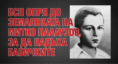 БСП опря до землянката на Митко Палаузов, за да надъха бабичките