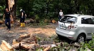 Мощната буря в Хасково събори дървета, смачка коли 