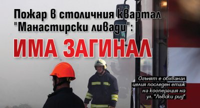 Пожар в столичния квартал "Манастирски ливади": Има загинал