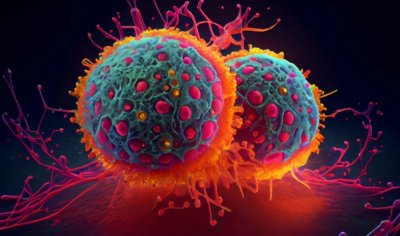 Учени от университета Аалто Финландия са установили че раковите клетки могат