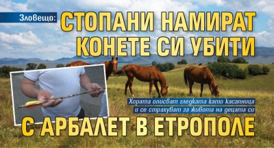 Зловещо: Стопани намират конете си убити с арбалет в Етрополе