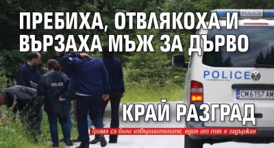 Пребиха, отвлякоха и вързаха мъж за дърво край Разград