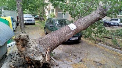 Лятна буря с градушка се изсипа и в София рано тази сутрин (СНИМКИ)