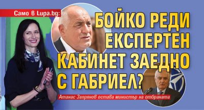 Само в Lupa.bg: Бойко реди експертен кабинет заедно с Габриел?